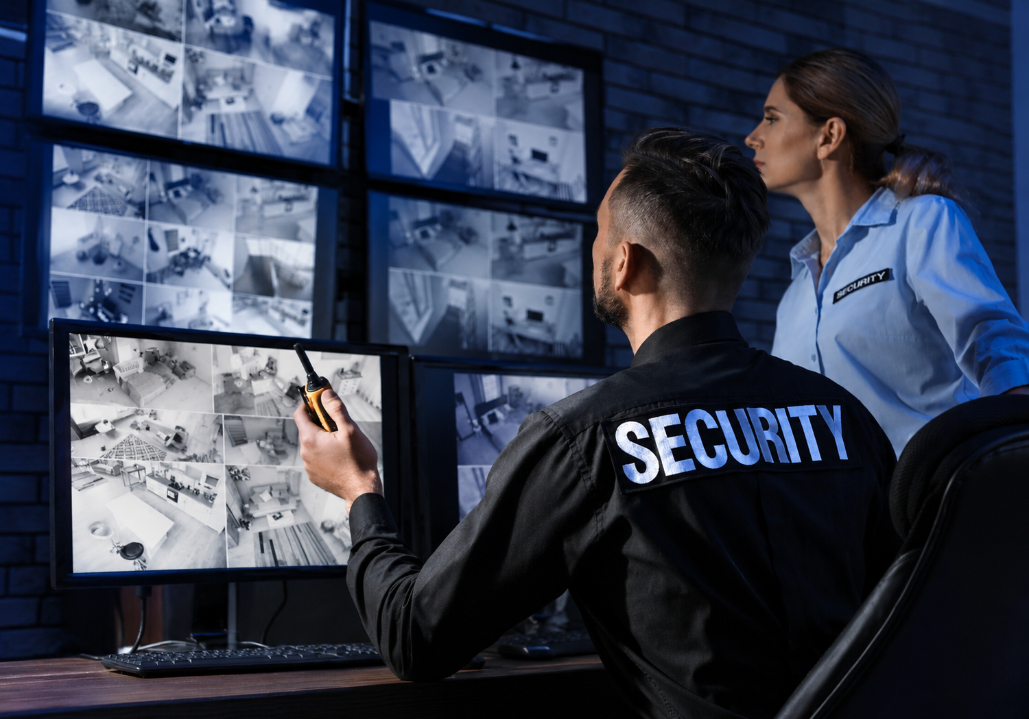 Corporate Security